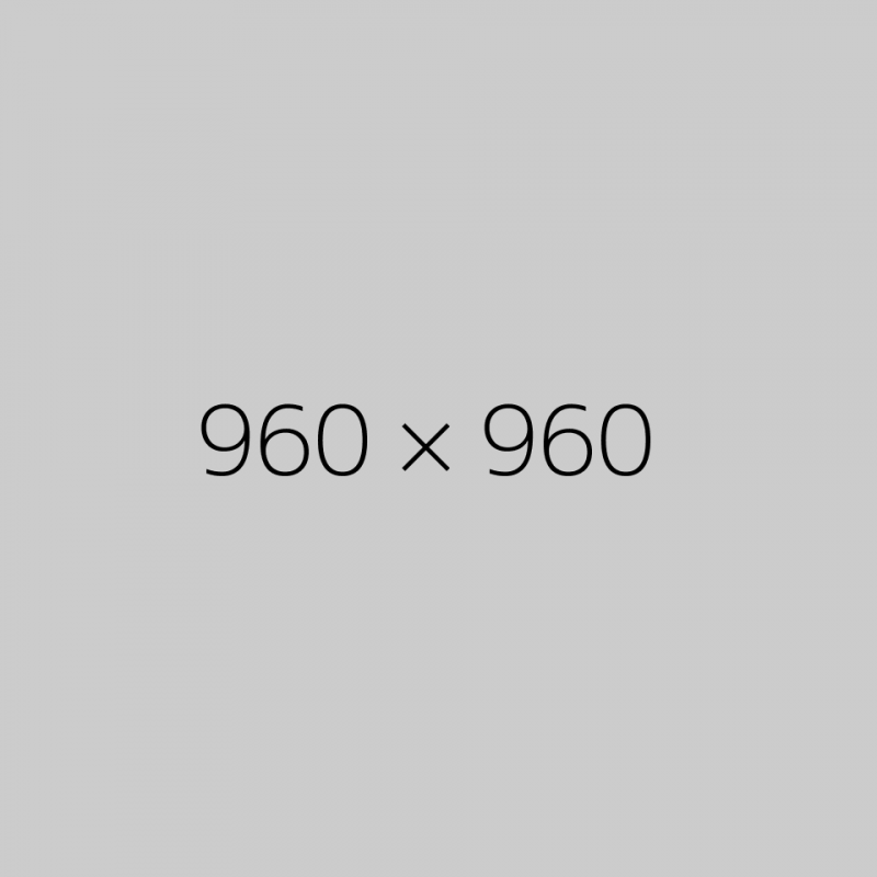 My Favorite Place on earth is…